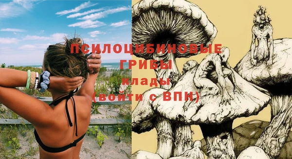 марки nbome Аркадак