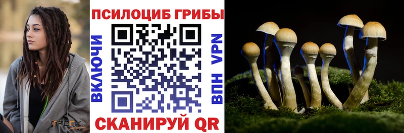 купить наркотики цена  Красный Кут  Галлюциногенные грибы Magic Shrooms 